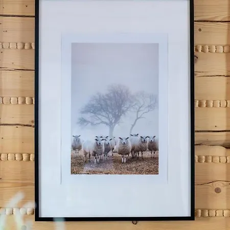 Osada Malysze * Jaworzynka