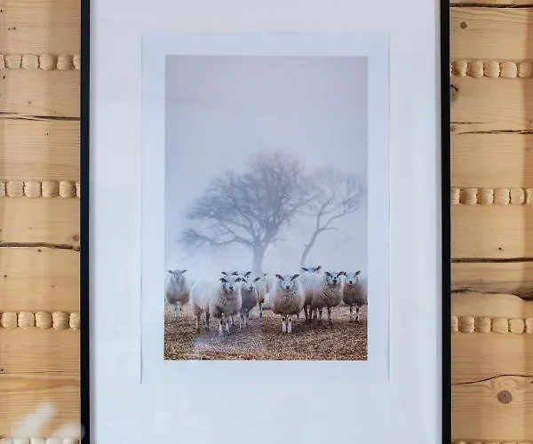 Osada Malysze * יבוז'ינקה